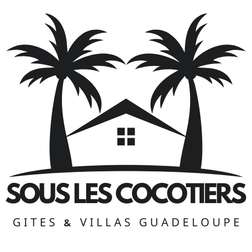 Logo 1 Noir